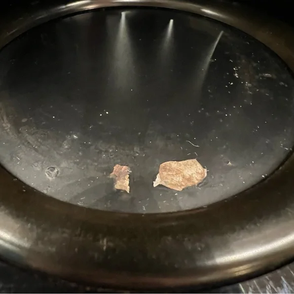 Cuisinart Brew Central 14-Cup Programmable Coffeemaker Coffee Maker CBC-7400PC.* - Picture 11 of 11